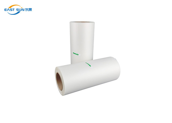 Good price 30cm 60cM 핫 펠링 콜드 펠링 PET 필름 티셔츠 인쇄용 DTF PET 전송 필름 온라인으로