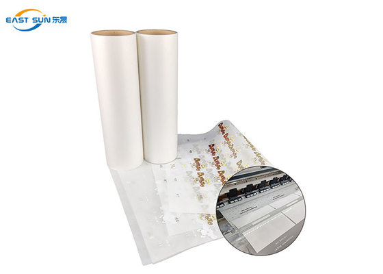 Good price 100M 30cm 33cm 60cm 핫 펠링 핫 트랜스퍼스 힐 펫 필름 DTF 필름 롤 온라인으로